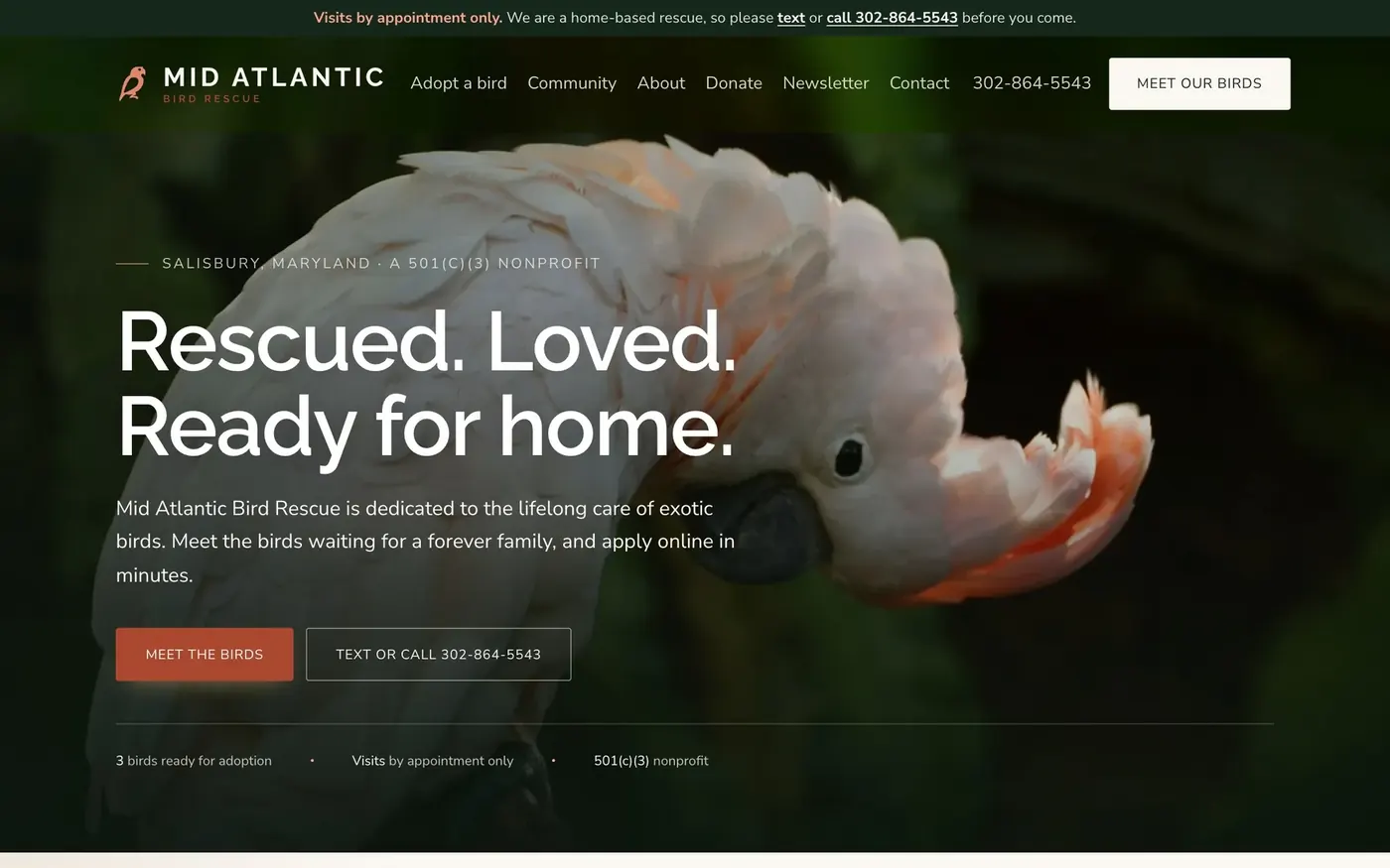 Mid Atlantic Bird Rescue, nonprofit rescue in Salisbury, MD: the home page