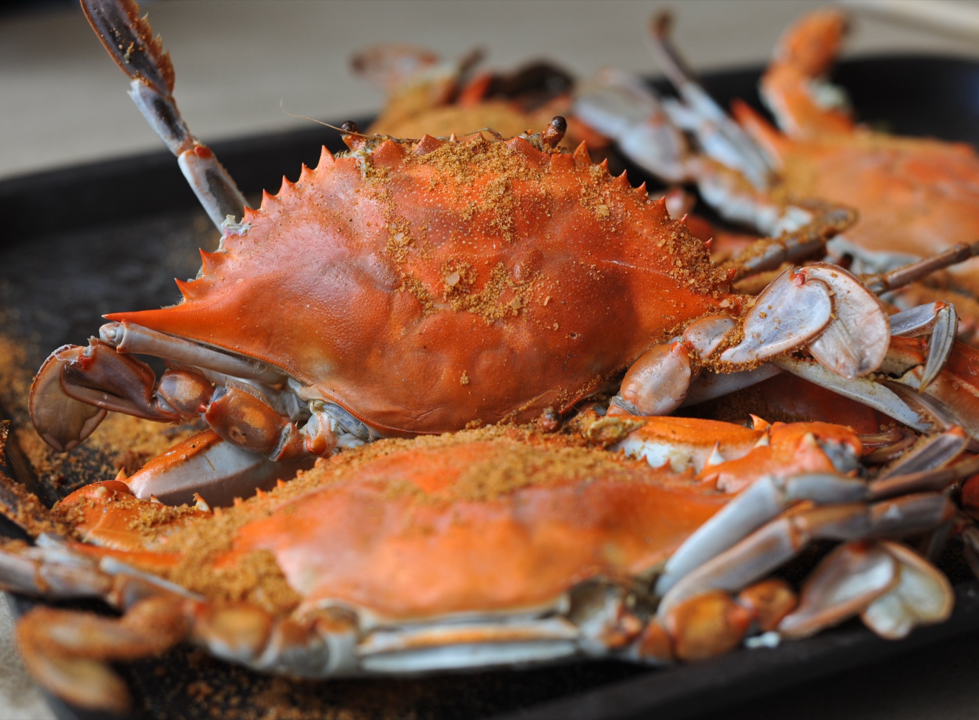 A tray of steamed Maryland blue crabs covered in seasoning