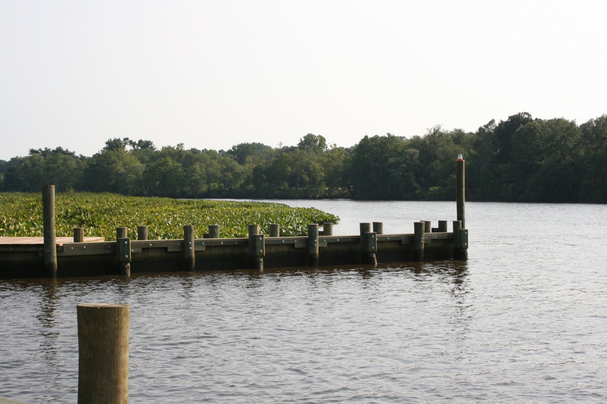 The Choptank River at Denton, Maryland