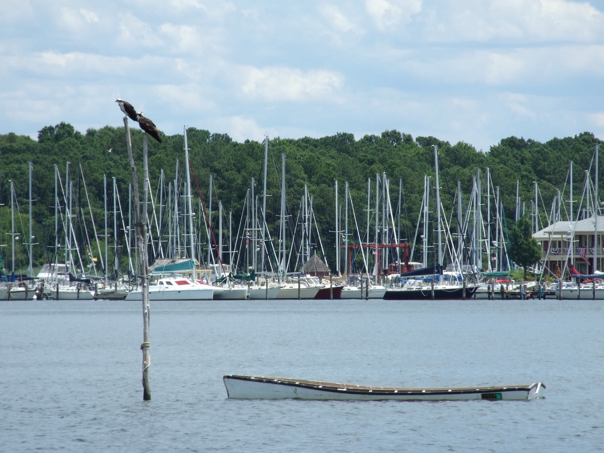 Sailboat masts at a marina in Rock Hall, Maryland