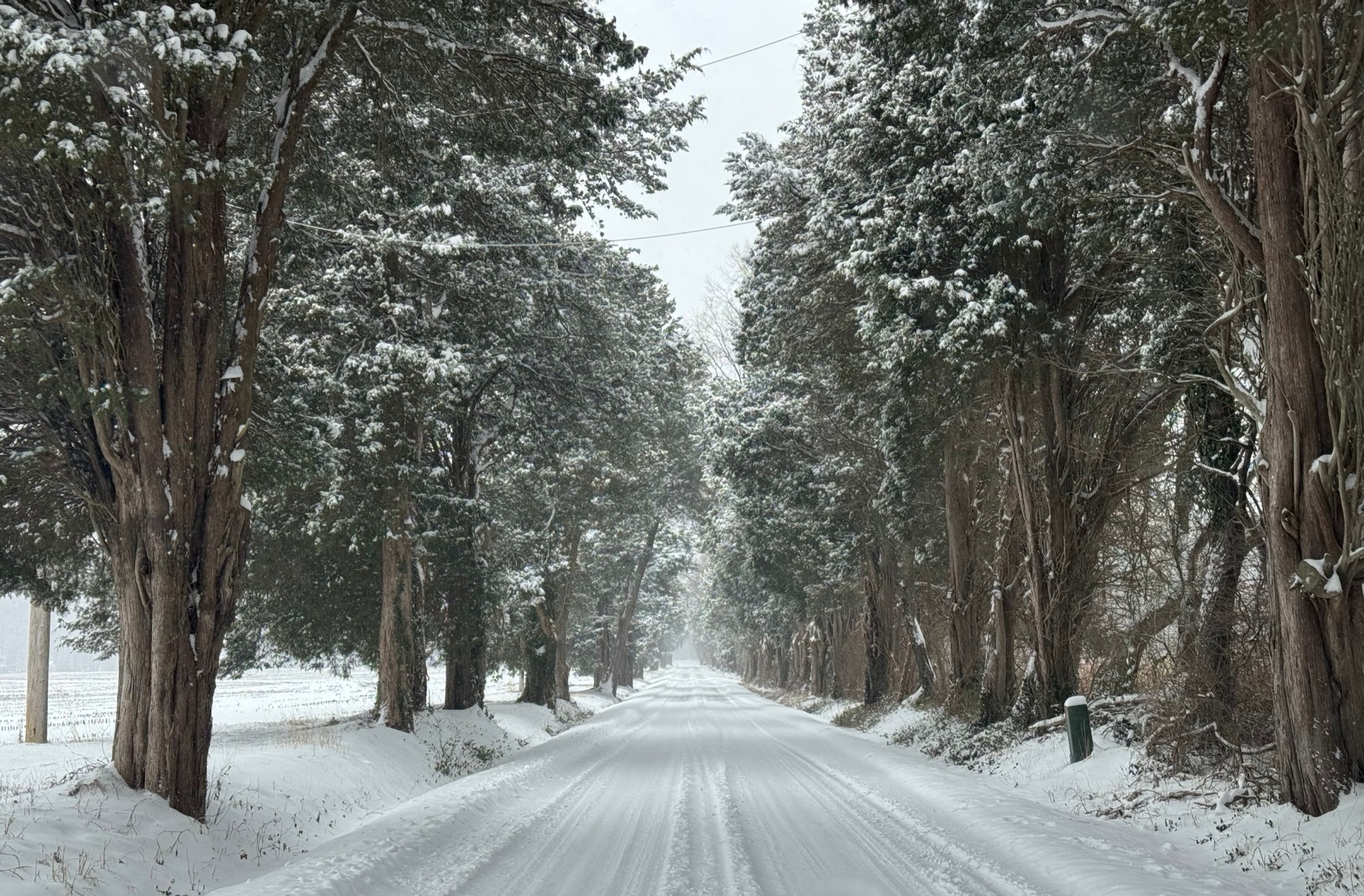 A snow-covered road outside Chestertown, Maryland