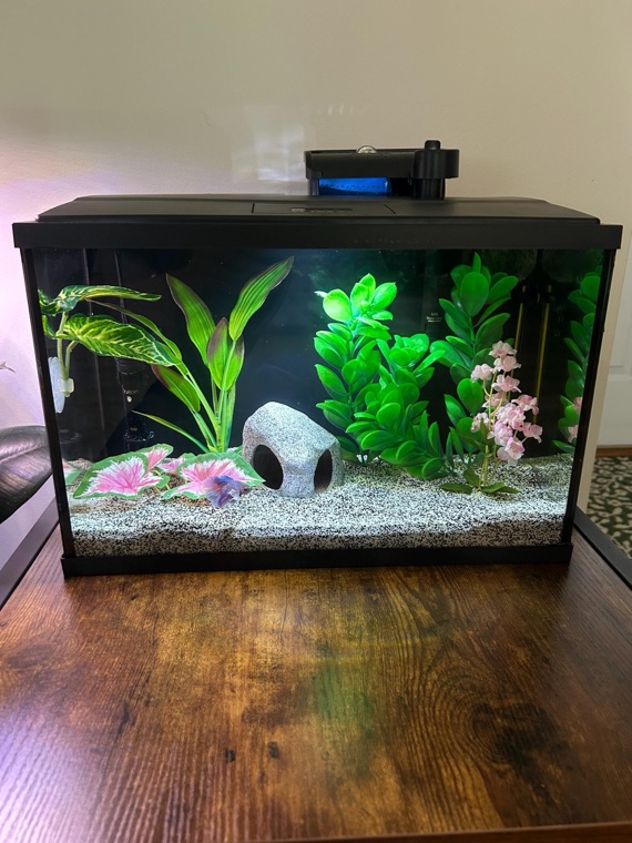 Customer aquarium featuring Lower Forty Farm plants