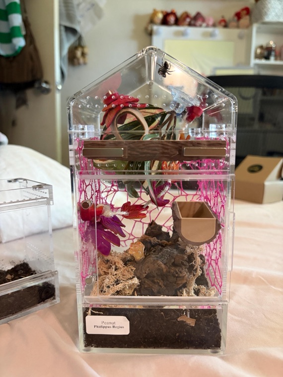 Customer aquarium featuring Lower Forty Farm plants
